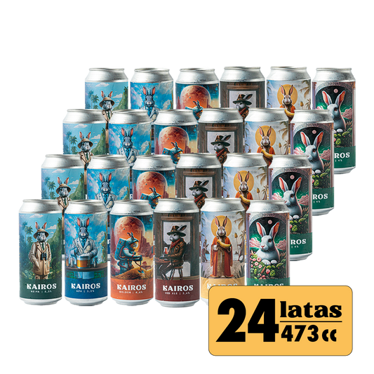 24 Pack variado